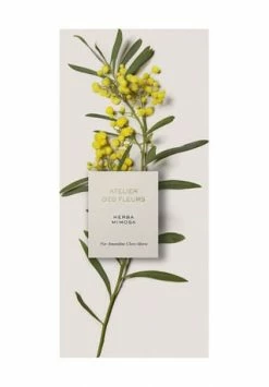 Chloé Atelier Des Fleurs Herba Mimosa, Eau De Parfum 50ml -Düfte Verkäufe unnamed file 1089