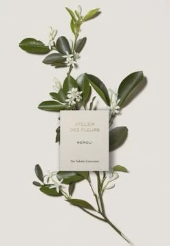 Chloé Atelier Des Fleurs Néroli, Eau De Parfum 50ml -Düfte Verkäufe unnamed file 1095