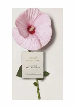 Chloé Atelier Des Fleurs Hibiscus Abelmoschus, Eau De Parfum 50ml 10 Chloé Atelier Des Fleurs Hibiscus Abelmoschus, Eau De Parfum 50ml -Düfte Verkäufe unnamed file 1102