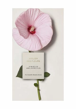 Chloé Atelier Des Fleurs Hibiscus Abelmoschus, Eau De Parfum 50ml 4 Chloé Atelier Des Fleurs Hibiscus Abelmoschus, Eau De Parfum 50ml – Bild 4