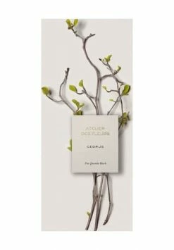 Chloé Atelier Des Fleurs Cedrus, Eau De Parfum 50ml -Düfte Verkäufe unnamed file 1109