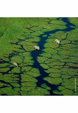 GUERLAIN AQUA ALLEGORIA 125ml 6 GUERLAIN AQUA ALLEGORIA 125ml – Bild 6