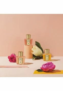 ACQUA DI PARMA Magnolia Nobile, Eau De Parfum 100ml -Düfte Verkäufe unnamed file 185