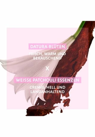 YVES SAINT LAURENT MON PARIS 30ml 2 YVES SAINT LAURENT MON PARIS 30ml – Bild 2