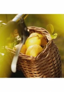 Maison Margiela REPLICA 30ml 7 Maison Margiela REPLICA 30ml -Düfte Verkäufe unnamed file 426