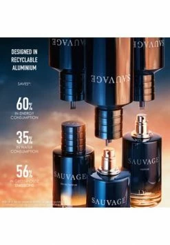 DIOR EAU DE PARFUM REFILL 300ml -Düfte Verkäufe unnamed file 539