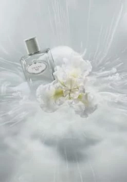 PRADA LES INFUSIONS 100ml -Düfte Verkäufe unnamed file 582