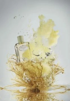 PRADA LES INFUSIONS 100ml 20 PRADA LES INFUSIONS 100ml -Düfte Verkäufe unnamed file 593