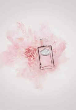 PRADA LES INFUSIONS 100ml -Düfte Verkäufe unnamed file 642