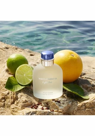 DOLCE & GABBANA Light Blue Pour Homme, Eau De Toilette 40ml 3 DOLCE & GABBANA Light Blue Pour Homme, Eau De Toilette 40ml – Bild 3