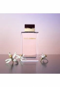 DOLCE & GABBANA Pour Femme, Eau De Parfum 25ml -Düfte Verkäufe unnamed file 84