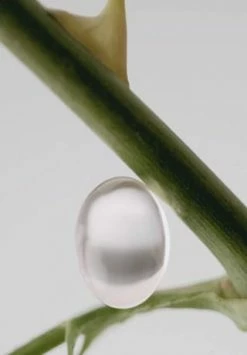 ISSEY MIYAKE L'Eau D'Issey Rose&Rose, Eau De Parfum Intense 25ml 9 ISSEY MIYAKE L'Eau D'Issey Rose&Rose, Eau De Parfum Intense 25ml -Düfte Verkäufe unnamed file 911