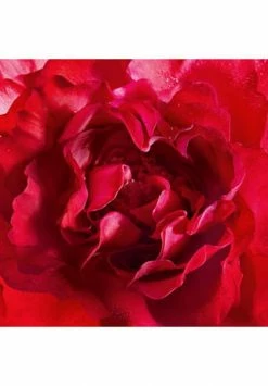 Mon Guerlain 30ml -Düfte Verkäufe unnamed file 962