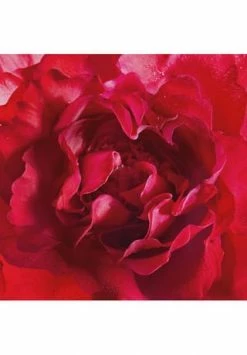 Mon Guerlain 30ml -Düfte Verkäufe unnamed file 967