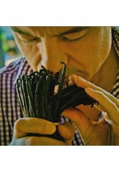 GUERLAIN Shalimar 50ml -Düfte Verkäufe unnamed file 977